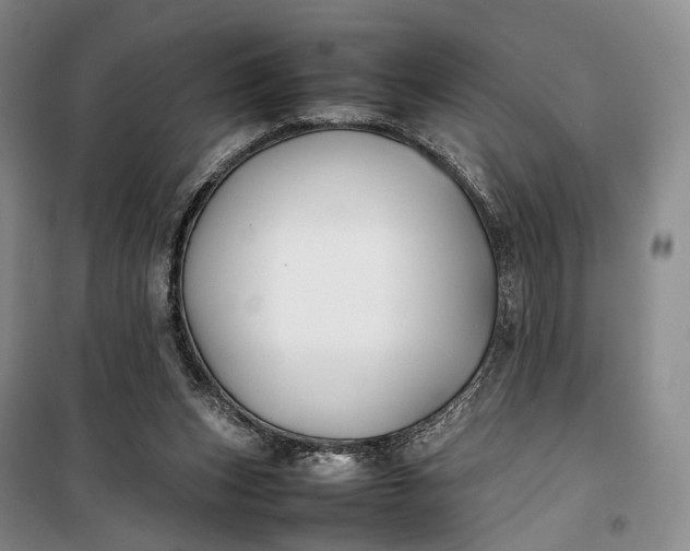 X0000100230159200806131344