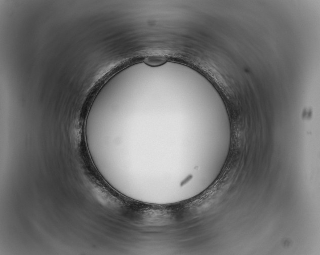 X0000100230160200806131344