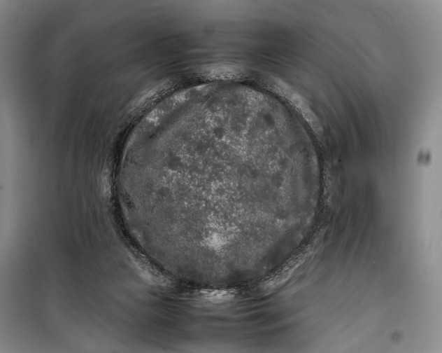 X0000100230161200806131344