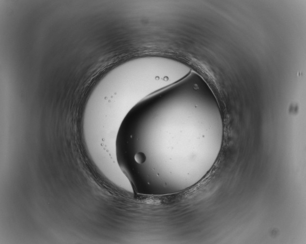 X0000100230162200806131344