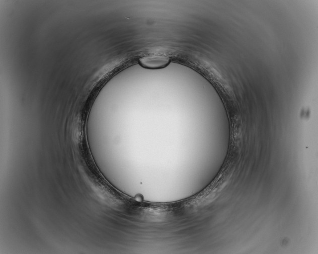 X0000100230164200806131344