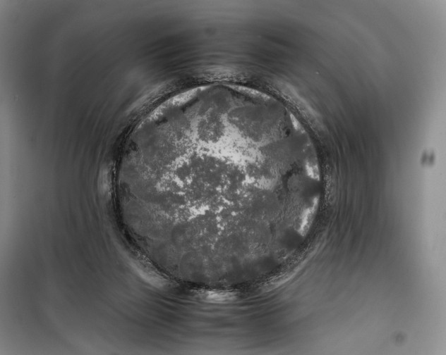 X0000100230165200806131344