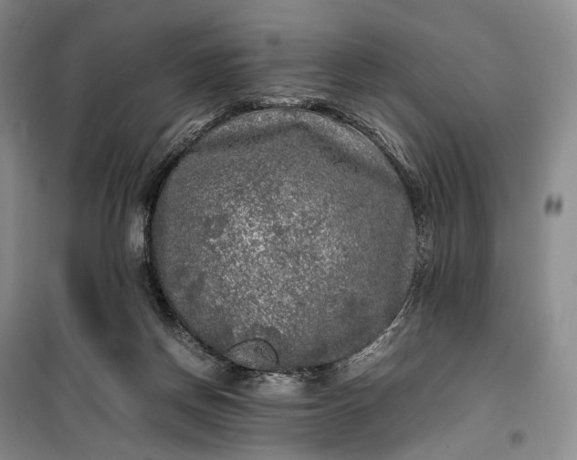 X0000100230166200806131344