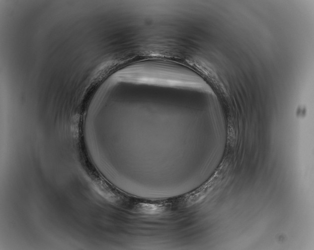 X0000100230167200806131344