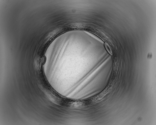 X0000100230168200806131344