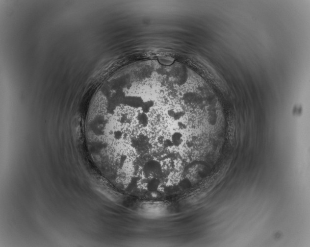 X0000100230169200806131344