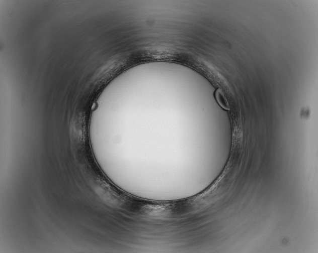 X0000100230170200806131344