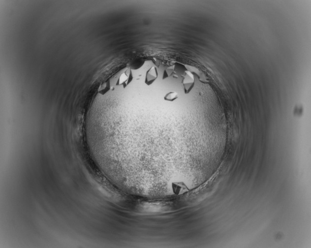 X0000100230171200806131344