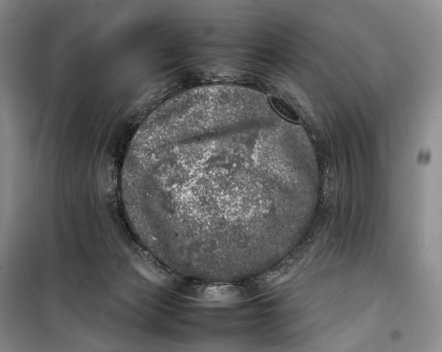 X0000100230173200806131344