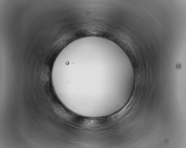 X0000100230174200806131344