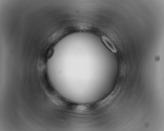 X0000100230176200806131344