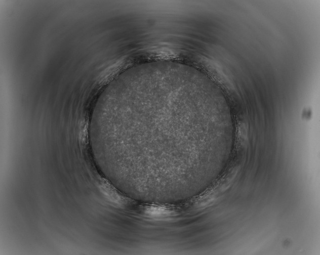 X0000100230177200806131344