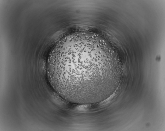 X0000100230178200806131344