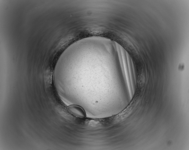 X0000100230180200806131344