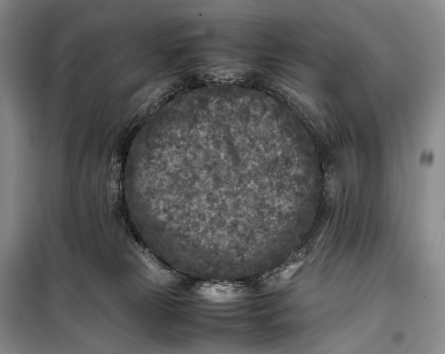 X0000100230181200806131344