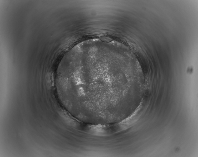 X0000100230182200806131344