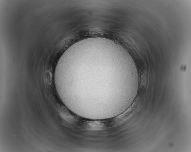 X0000100230183200806131344