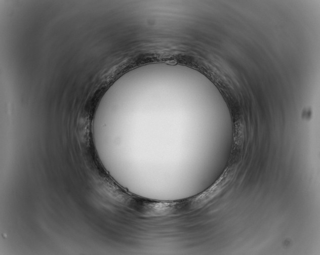 X0000100230184200806131344