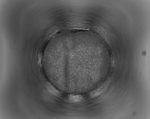 X0000100230185200806131344