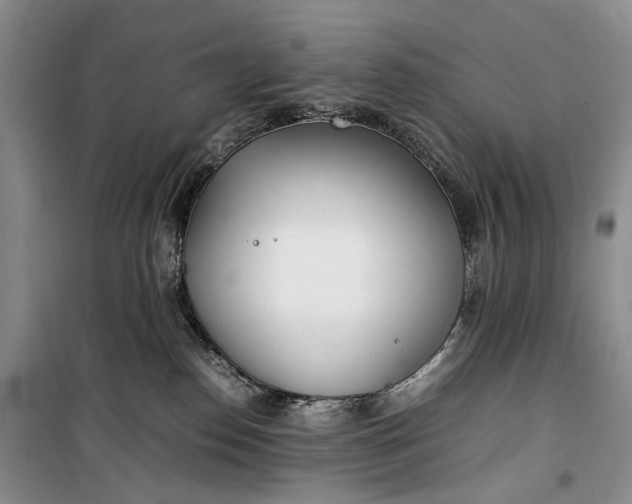 X0000100230186200806131344