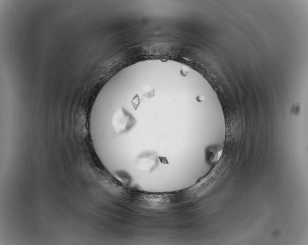 X0000100230187200806131344