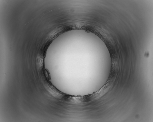 X0000100230188200806131344