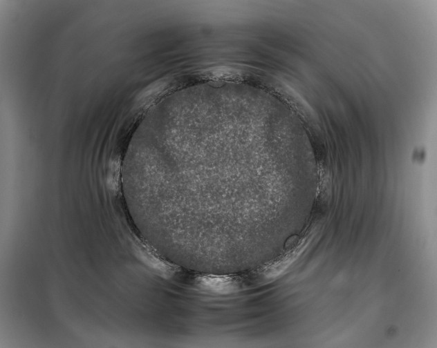 X0000100230189200806131344