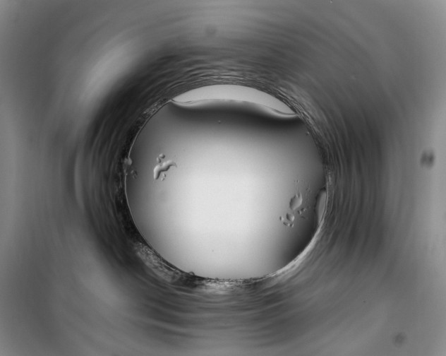 X0000100230190200806131344