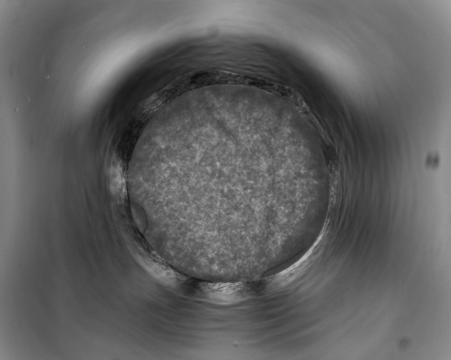 X0000100230191200806131344