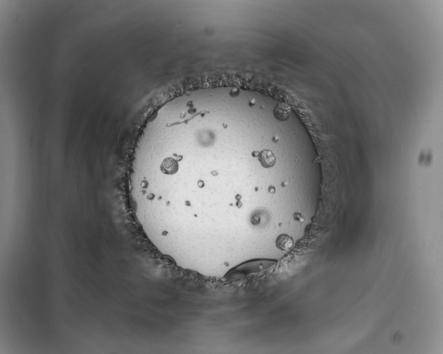 X0000100230192200806131344