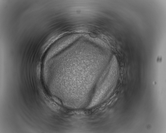 X0000100230194200806131343