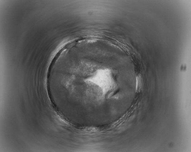 X0000100230195200806131343