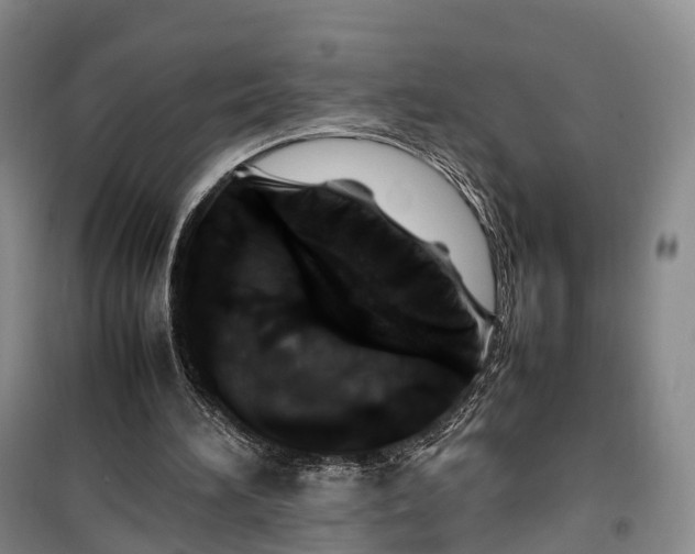 X0000100230196200806131343