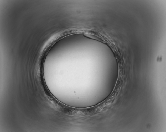 X0000100230197200806131343