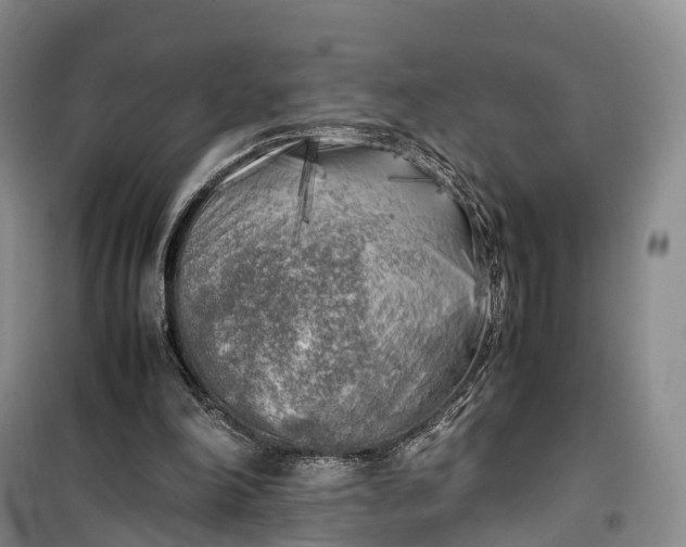 X0000100230198200806131343