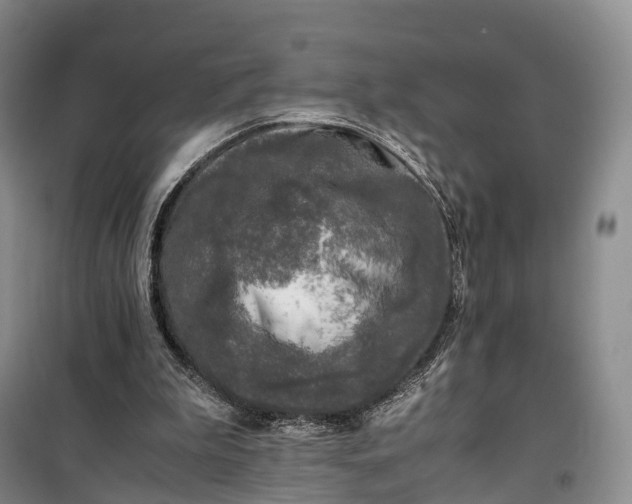 X0000100230199200806131343