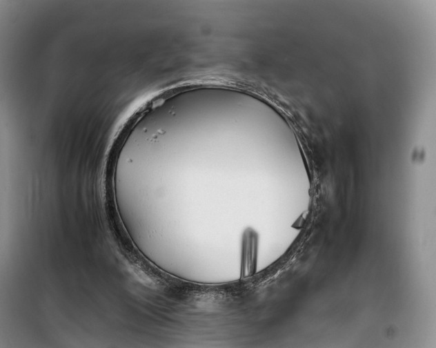 X0000100230200200806131343