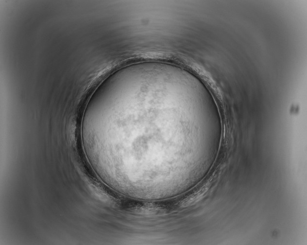 X0000100230201200806131343