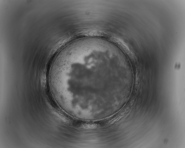 X0000100230202200806131343