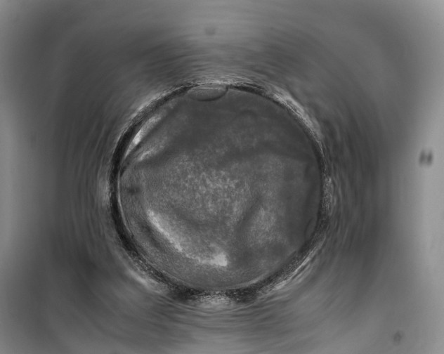 X0000100230203200806131343