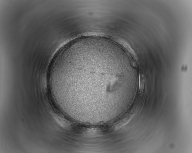 X0000100230204200806131343