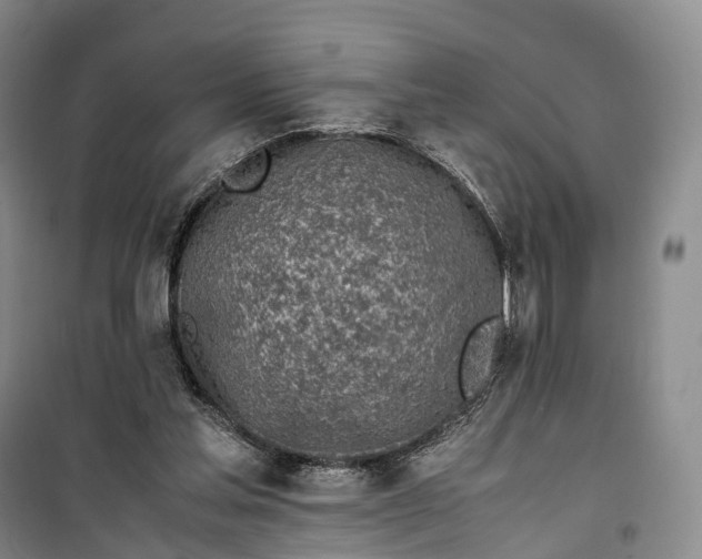 X0000100230205200806131343