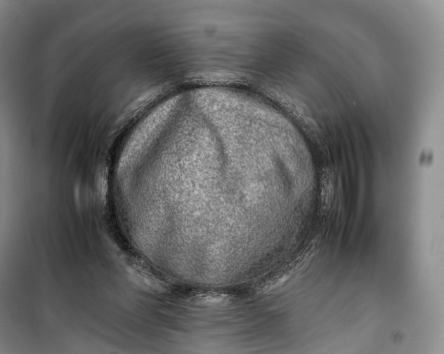 X0000100230206200806131343