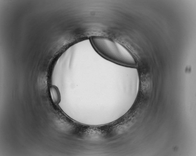 X0000100230207200806131343