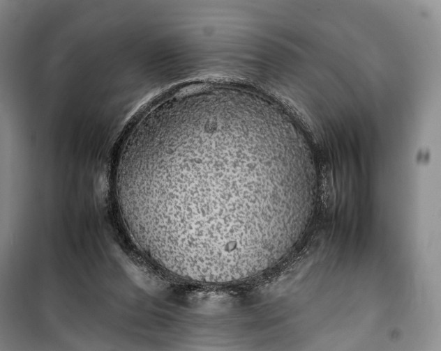 X0000100230208200806131343