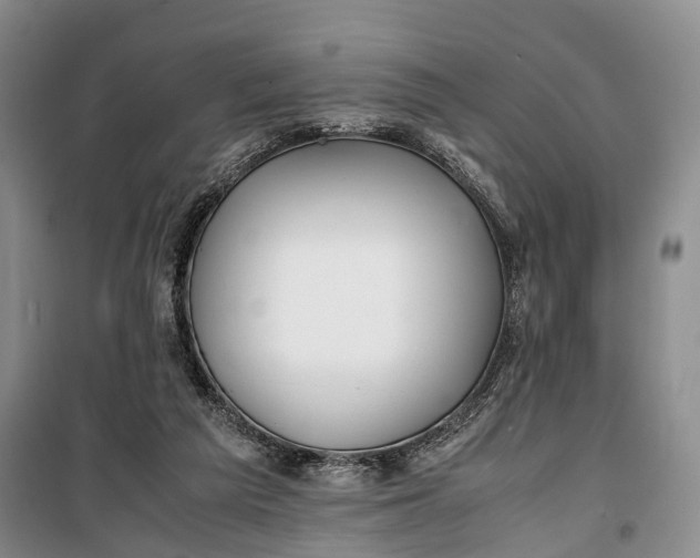 X0000100230209200806131343