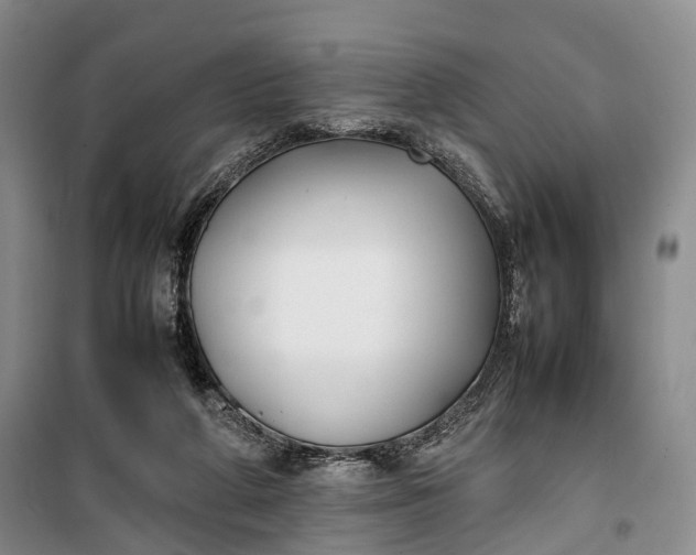 X0000100230210200806131343