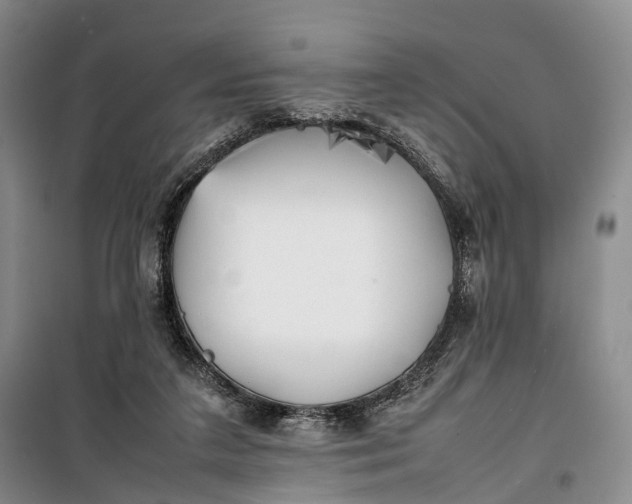 X0000100230211200806131343