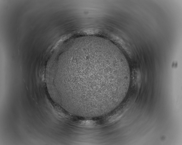 X0000100230212200806131343