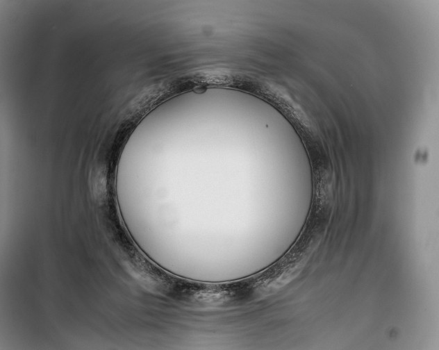 X0000100230213200806131343